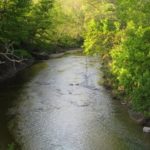 Chagrin River (Pix #2)